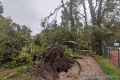 Sturm09