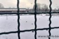 IMG-20230311-WA0012