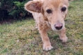 IMG-20250315-WA0006