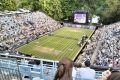 IMG-20250624-WA0033