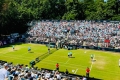 IMG-20250625-WA0022