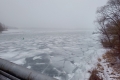IMG-20260208-WA0021